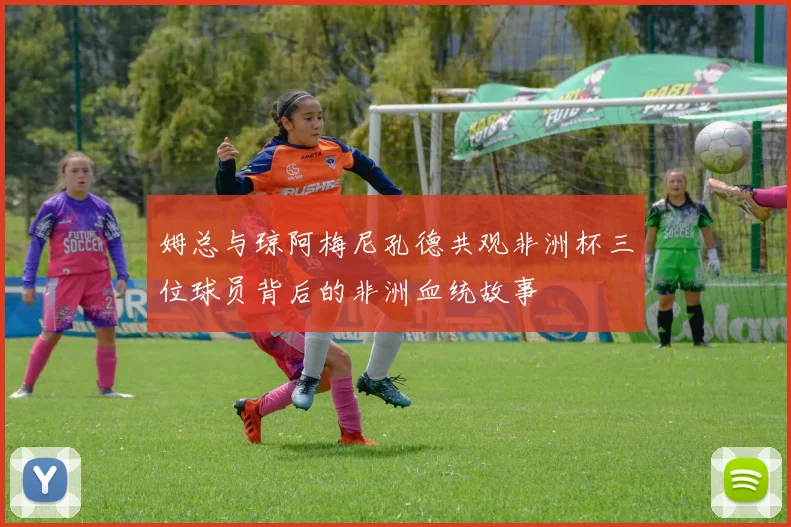 姆总与琼阿梅尼孔德共观非洲杯三位球员背后的非洲血统故事