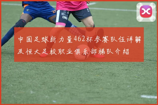 中国足球新力量462杯参赛队伍详解及恒大足校职业俱乐部梯队介绍
