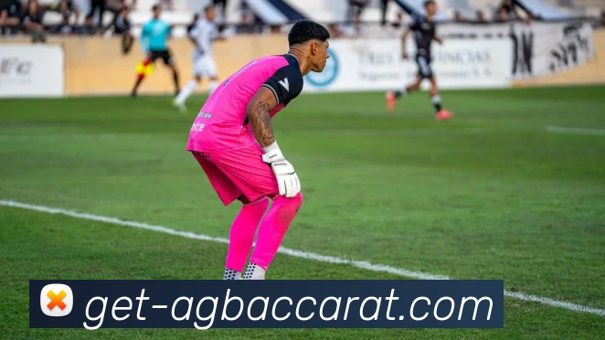 AG百家乐APP 封面图